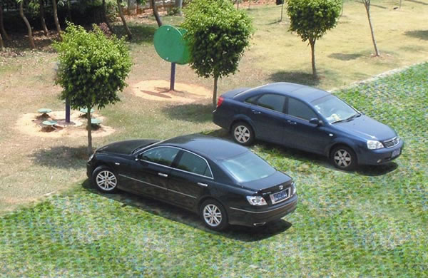 停車場(chǎng)植草格