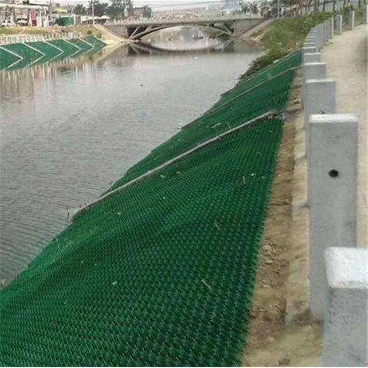 張家口塑料植草格